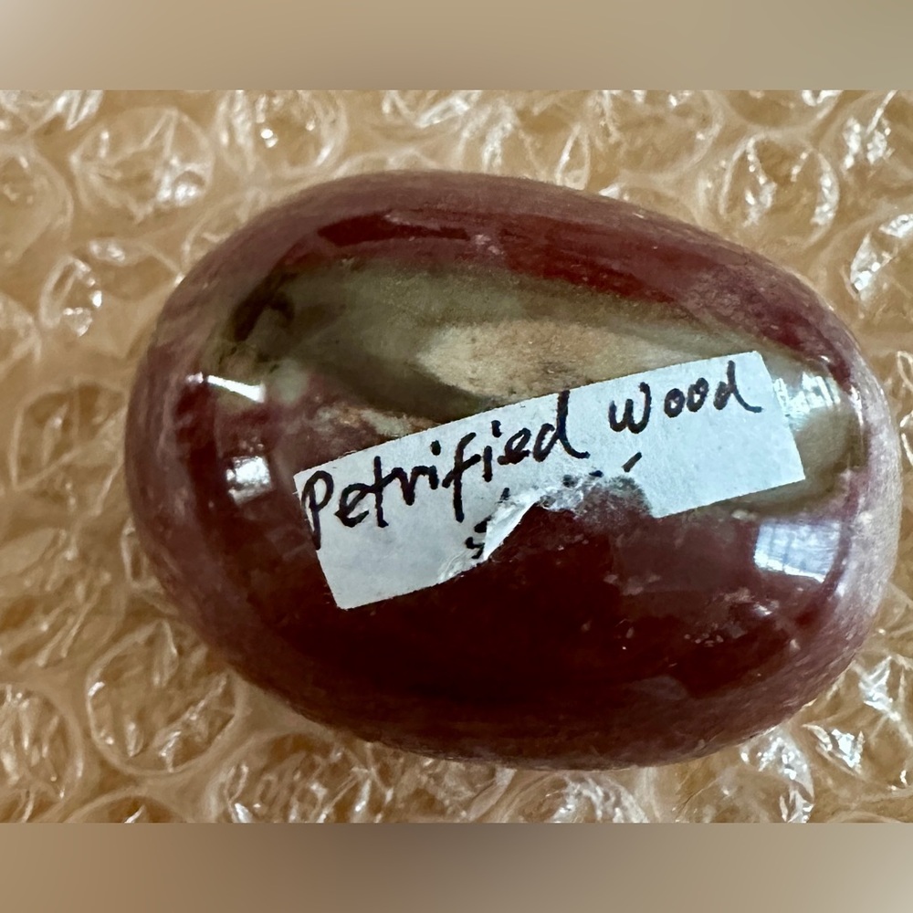 Petrified Wood Decorative Stone 2x2 inches